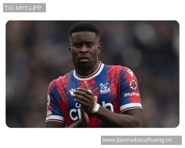 水晶宫计划冬窗出售身价5000万格伊红军将面临皇萨仁激烈竞争