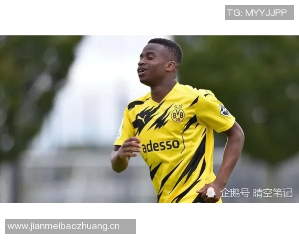 多特蒙德关注年轻天才德凯特与菲林力争未来锋线新星